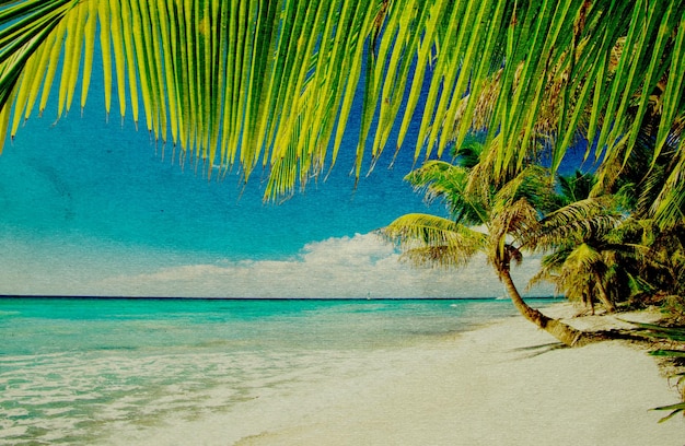 Spiaggia di lerciume