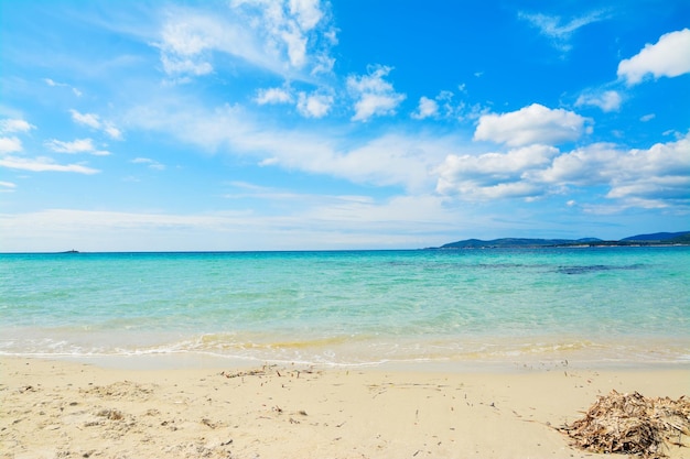 Spiaggia di Maria Pia in una limpida giornata di primavera Girato in Sardegna Italia