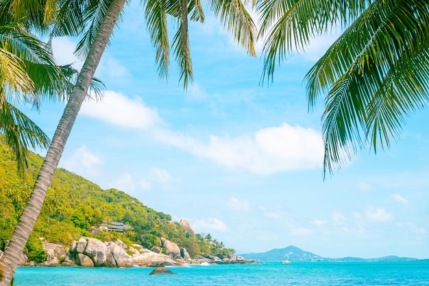 Spiaggia di paesaggio tropicale con palme e viaggi in montagna e turismo