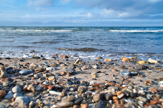 Spiaggia di pietra sulla costa della Danimarca Pietre nella sabbia e nell'acqua