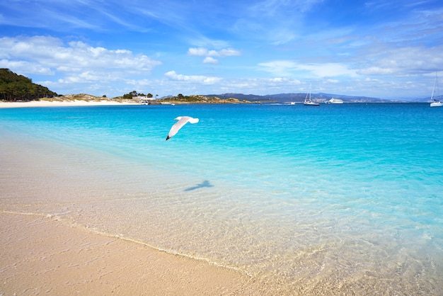 Spiaggia di Praia de Rodas nell&#39;isola Vigo Spagna dell&#39;isola di islas