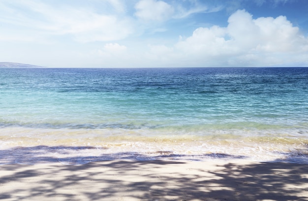 Spiaggia di Puru Kambera sull&#39;isola di sumba, Indonesia