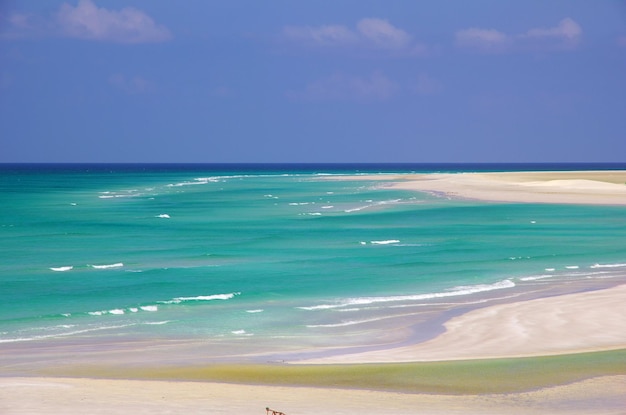 Spiaggia di Qalansiyah Isola di Socotra Oceano Indiano Yemen