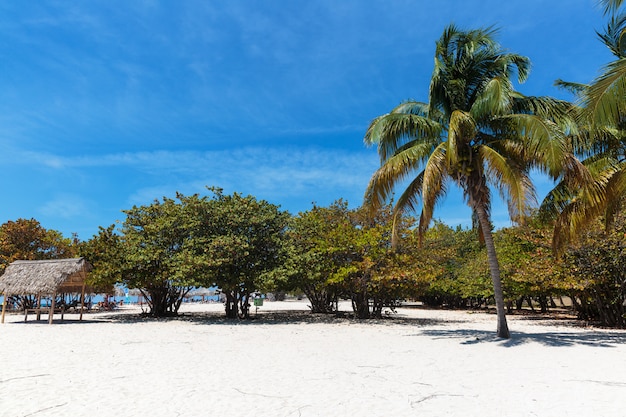 Spiaggia di sabbia bianca a Cuba