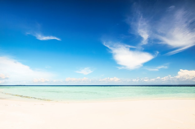 Spiaggia di sabbia bianca alle Maldive