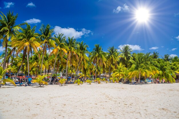 Spiaggia di sabbia bianca con palme da cocco Isla Mujeres isola Mar dei Caraibi Cancun Yucatan Messico