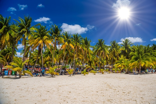 Spiaggia di sabbia bianca con palme da cocco Isla Mujeres isola Mar dei Caraibi Cancun Yucatan Messico