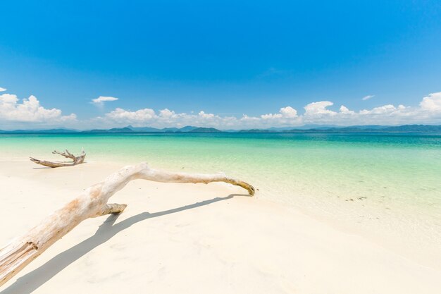 Spiaggia di sabbia bianca e barca a coda lunga all&#39;isola di Khang Khao (isola Bat)