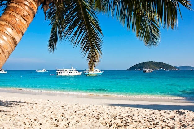 Spiaggia di sabbia bianca tropicale con palme.