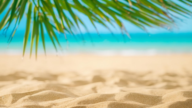 Spiaggia di sabbia con foglie di palma con sfondo mare sfocato