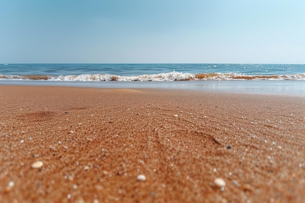 spiaggia di sabbia con paesaggio oceanico fotografia professionale