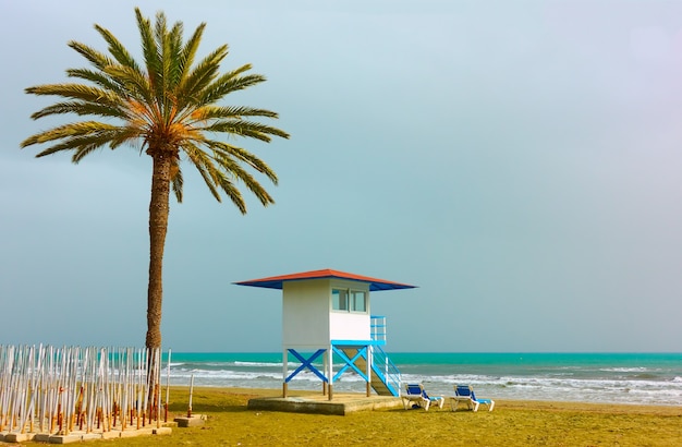 Spiaggia di sabbia con palme e torre di guardia di vita a Larnaca, Cipro