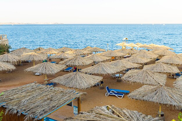 Spiaggia di sabbia con sedie a sdraio e ombrelloni di paglia bianca in un resort tropicale sulla costa del Mar Rosso a Sharm El Sheikh Egitto Spiagge dell'Africa durante la quarantena