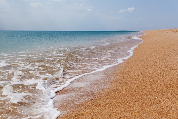 Spiaggia di sabbia del mare