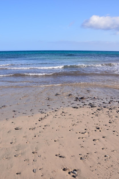 spiaggia di sabbia dell'oceano