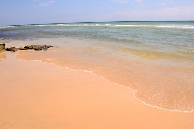 spiaggia di sabbia dell'oceano