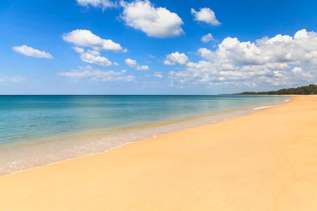 Spiaggia di sabbia e oceano blu