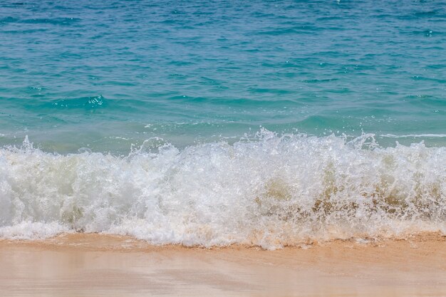 Spiaggia di sabbia e onda