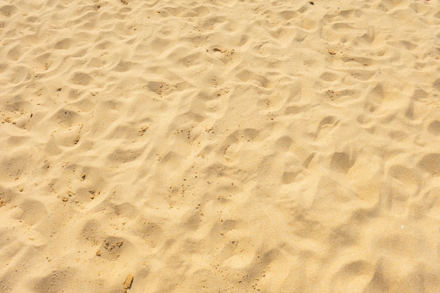 Spiaggia di sabbia fine sotto il sole estivo