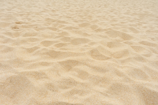 Spiaggia di sabbia in estate