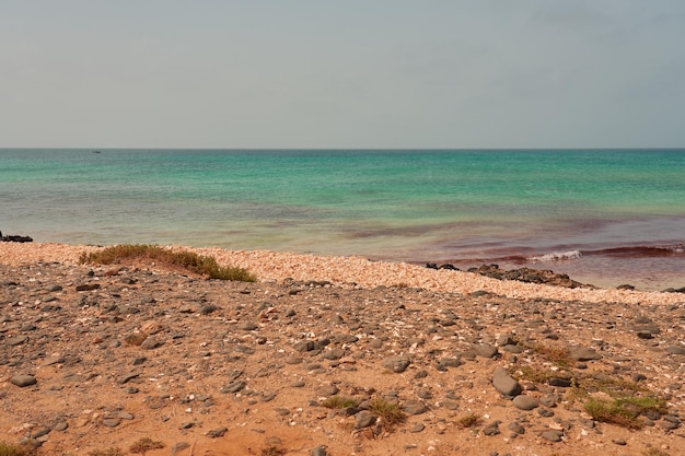 Spiaggia di sabbia tropicale con acqua limpida come sfondo