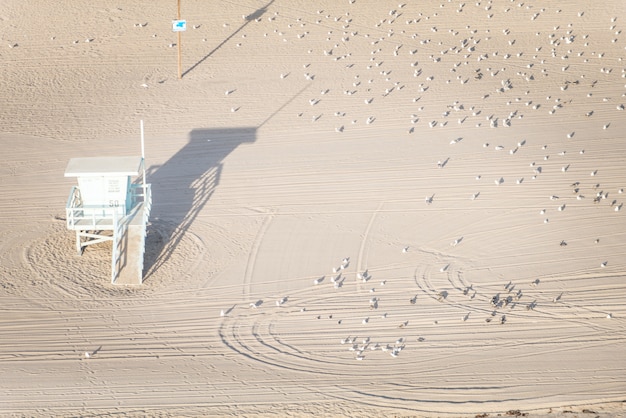 Spiaggia di Santa Monica, vista dall'elicottero