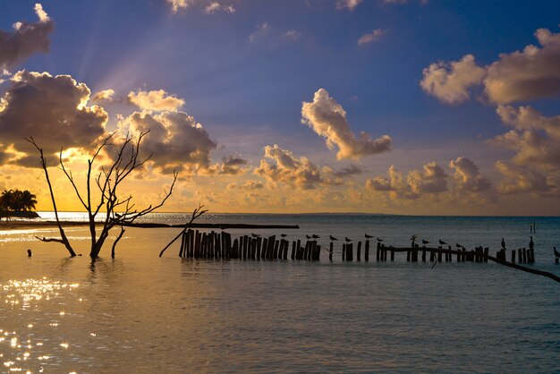 Spiaggia di tramonto dell&#39;isola di Holbox nel Messico