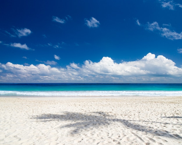 Spiaggia e bellissimo mare tropicale. spiaggia tropicale alle Maldive