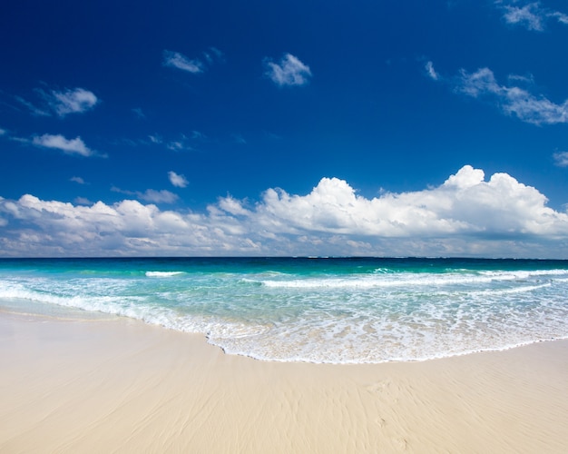 Spiaggia e bellissimo mare tropicale. spiaggia tropicale delle Maldive
