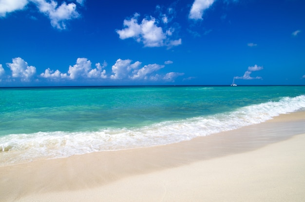 Spiaggia e bellissimo mare tropicale