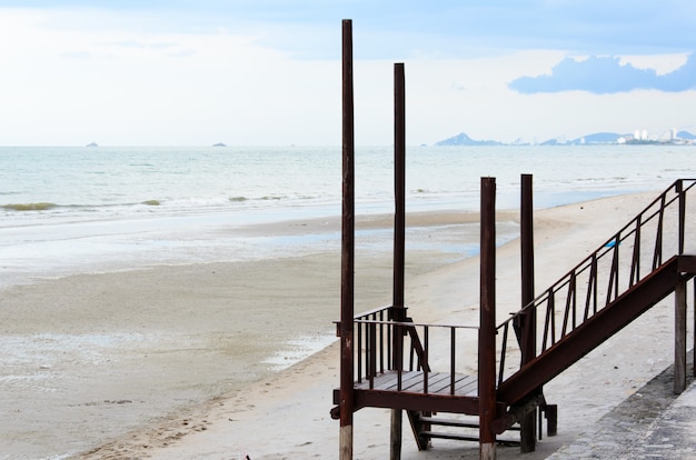 Spiaggia e bosco in mare