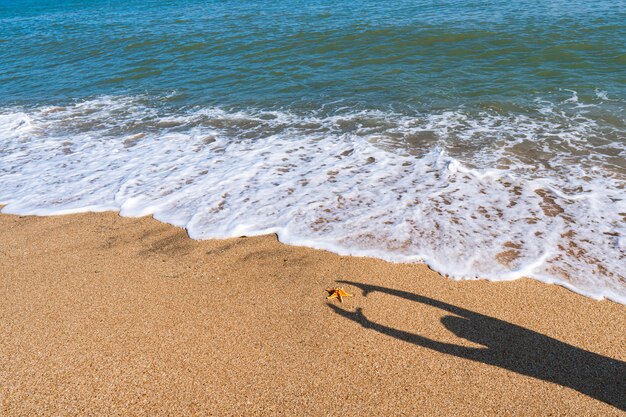 Spiaggia e mare con acque azzurre, relax estivo