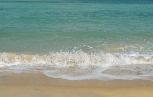 Spiaggia e mare con onda