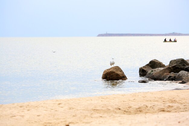 Spiaggia e mare stupendo