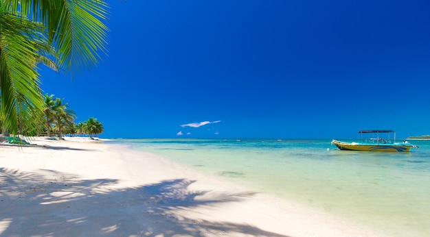 Spiaggia e mare tropicale con bel cielo