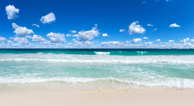 spiaggia e mare tropicale sullo sfondo della natura