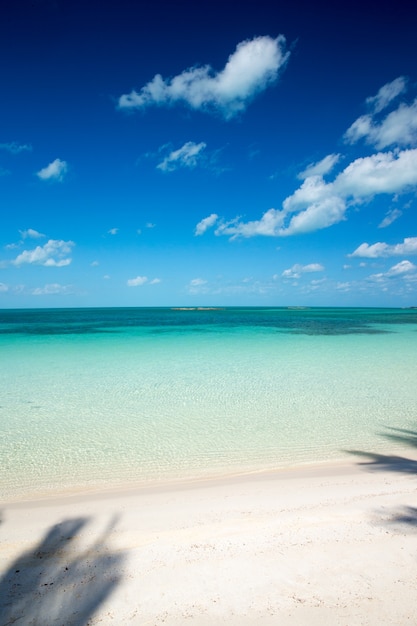 Spiaggia e mare tropicale