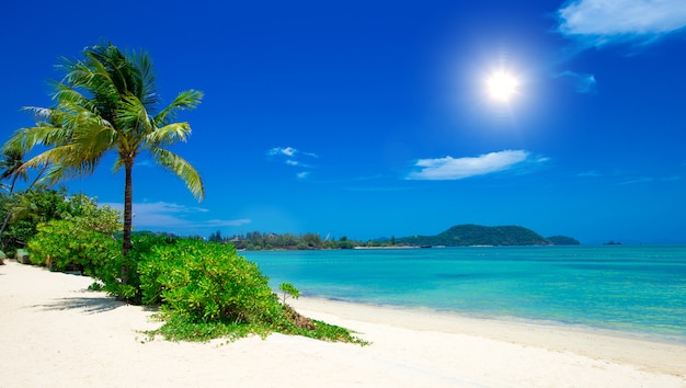 spiaggia e mare tropicale