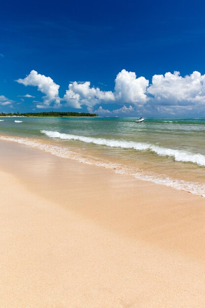 Spiaggia e mare tropicale