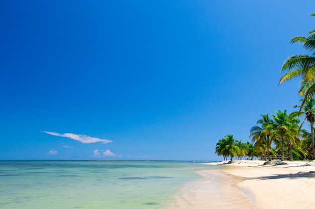 Spiaggia e mare tropicale