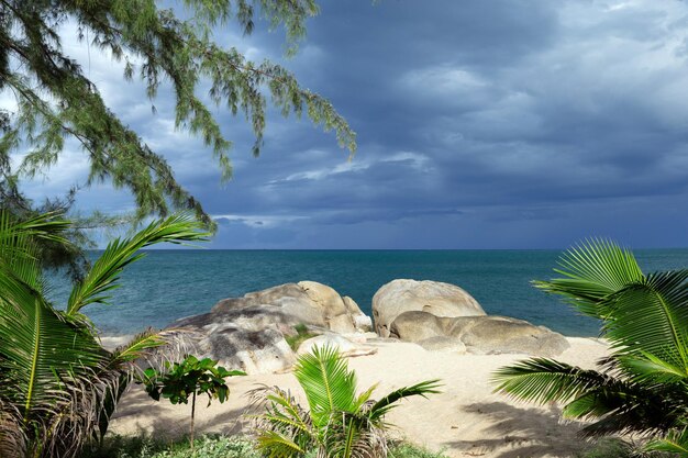 Spiaggia e mare tropicale