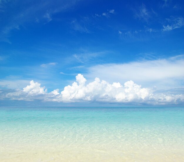 Spiaggia e mare tropicale