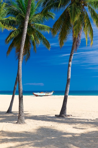 Spiaggia e mare tropicale