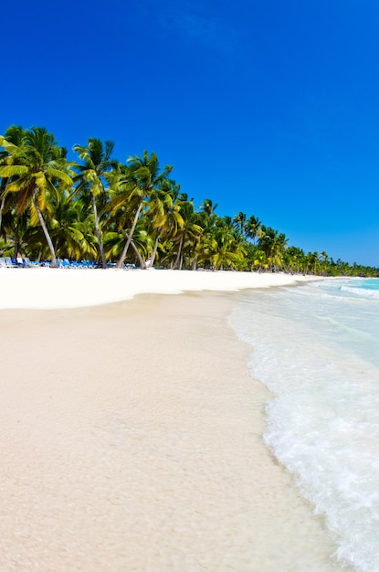 Spiaggia e mare tropicale