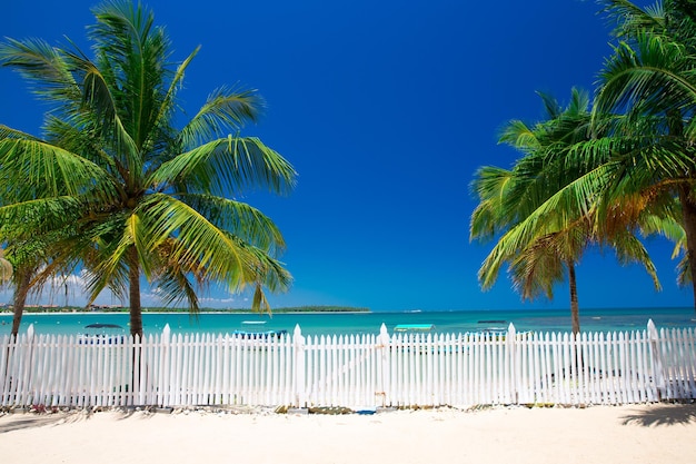 Spiaggia e mare tropicale