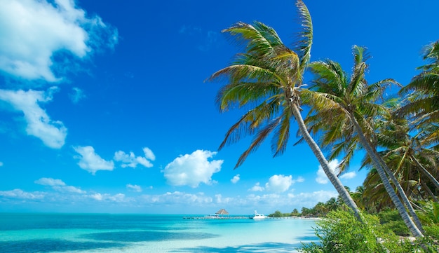 Spiaggia e mare tropicale