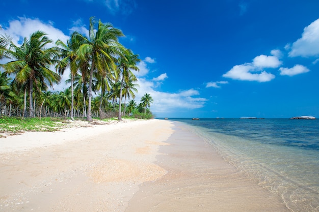 Spiaggia e mare tropicale