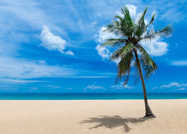 Spiaggia e mare tropicale