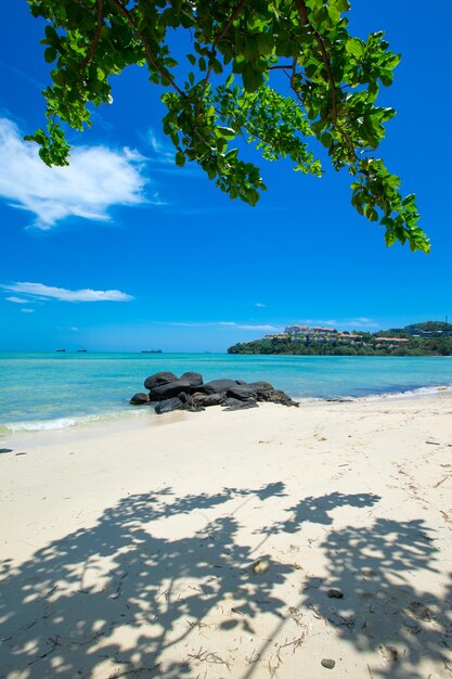 Spiaggia e mare tropicale