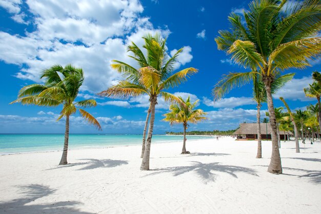 Spiaggia e mare tropicale